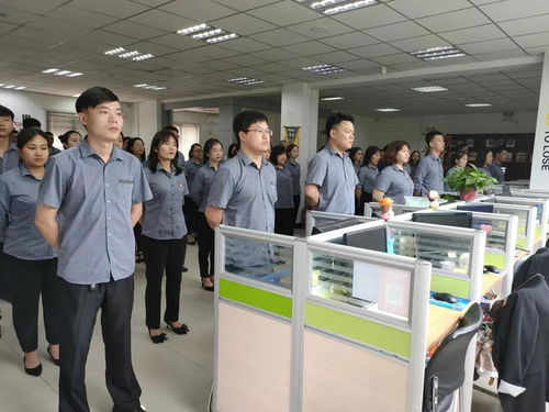 亮剑精神 现代企业管理中的制胜之道